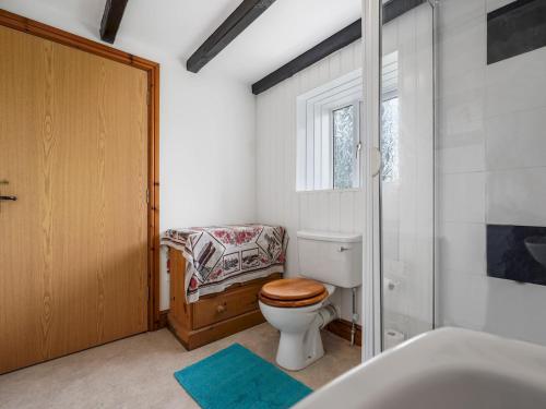 a bathroom with a toilet and a glass door at Pass the Keys Cosy 3 Bedroom Barn Conversion with pool in Tregaron