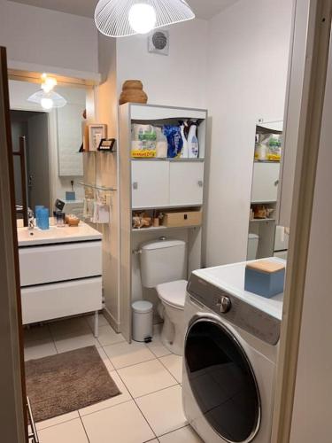 a small bathroom with a toilet and a sink at Appart 2 chambres 17 min de Paris in Rosny-sous-Bois