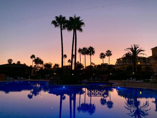 einen Pool mit Palmen und einer Bank bei Sonnenuntergang in der Unterkunft Islantilla Luxury in Isla Cristina