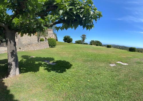 Castellaras Le Vieux – Photos 2