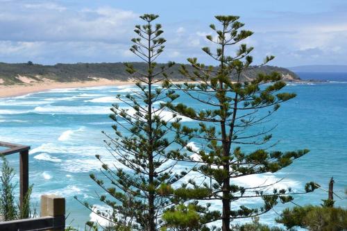 a pine tree on a beach next to the ocean at Manyana Beach Tiny Stays in Manyana