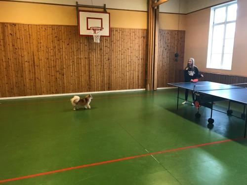 a woman and a dog in a room with a ping pong table at Sjugare Gård Glamping in Leksand