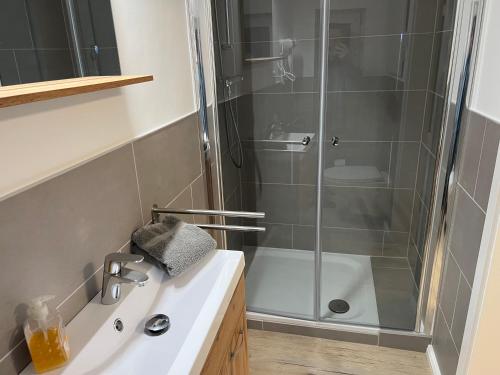 W łazience znajduje się prysznic i umywalka. w obiekcie Pension am Schrotturm Tangermünde w mieście Tangermünde