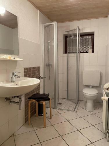 a bathroom with a sink and a toilet and a shower at Ferienhof Jepsen in Westerholz