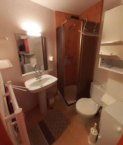 une salle de bain avec toilettes, lavabo et douche dans l'établissement Studio 442 au pied des pistes La Plagne, à Aime La Plagne