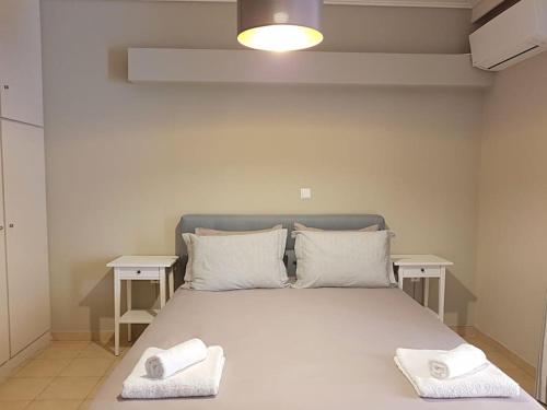 Athens Campus Renovated Studio Apartment @ Ilisia