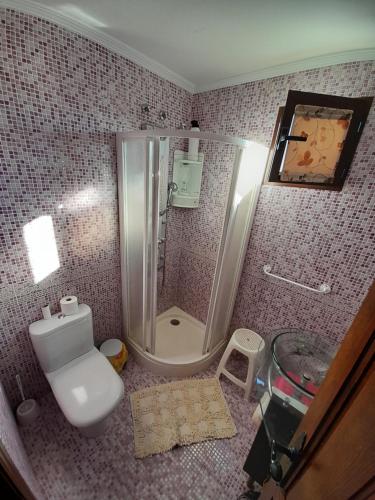 ein Bad mit einer Dusche, einem WC und einem Waschbecken in der Unterkunft APARTAMENTO SAN CARLOS in Baena