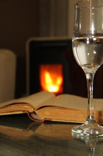 a glass of wine sitting next to an open book at Apartamentos Alcazar de Baeza in Baeza