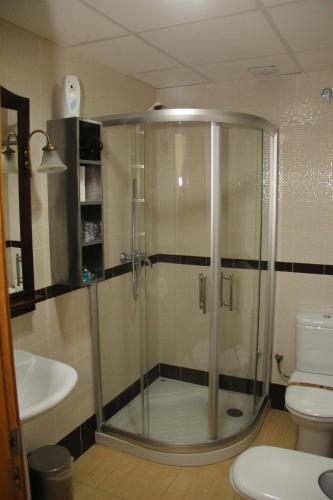 a bathroom with a shower and a toilet at Apartamentos Alcazar de Baeza in Baeza
