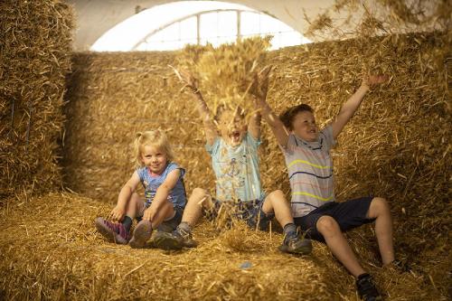 Niños alojados en Gut Frielinghausen