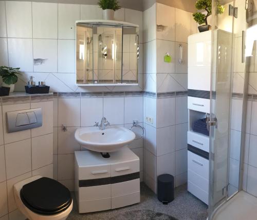La salle de bains est pourvue d'un lavabo, de toilettes et d'un miroir. dans l'établissement Ferienhaus Sabine im Biosphärenreservat Bliesgau, à Blieskastel