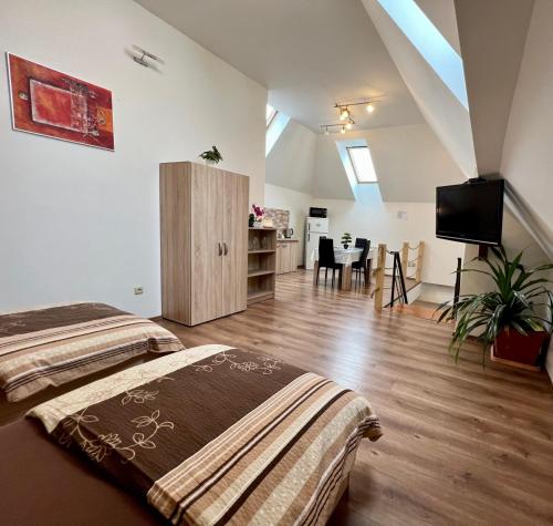 a bedroom with two beds and a tv in a room at Ubytování Zátiší 2 Olomouc in Olomouc
