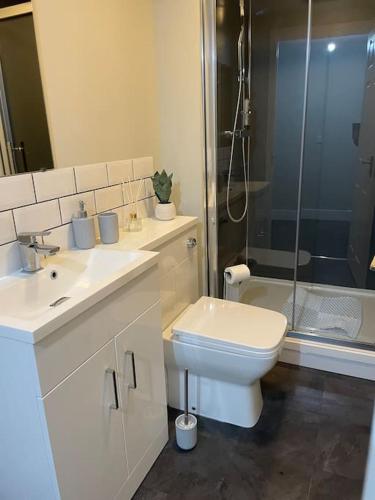 a bathroom with a toilet sink and a shower at Willow House by Shortstays4U 2bedroom Townhouse with free parking in town centre! in King's Lynn