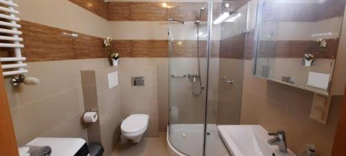 a bathroom with a shower and a toilet and a sink at Angel City Apartments in Krakow