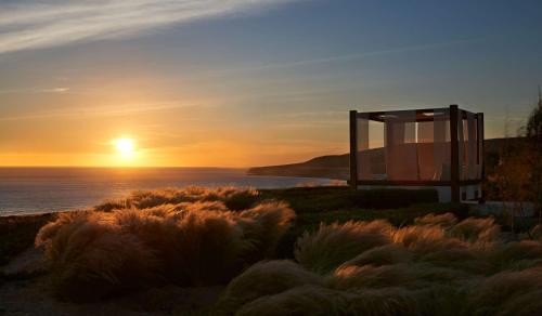 a sunset over the ocean with tall grass at Hyatt Place Taghazout Bay in Taghazout