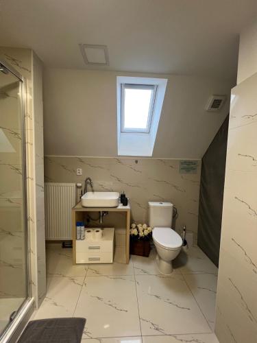 a bathroom with a toilet and a sink and a window at Ubytování Zátiší Olomouc in Olomouc
