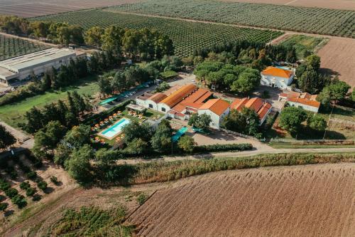 an aerial view of a house in a vineyard at Masseria Macchia & Relais San Pio in Marina di Pisticci
