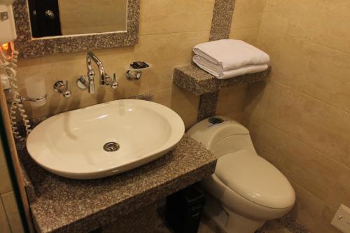 a bathroom with a sink and a toilet at Hoteles Bogotá Inn Santa Bárbara Usaquén in Bogotá