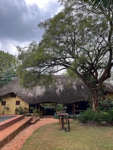 - un bâtiment au toit de chaume avec une table et un arbre dans l'établissement 30 Wilson, à Jinja