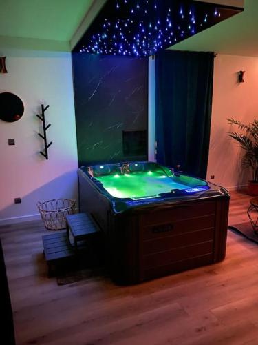 um quarto com uma banheira e um aquário em Le privilège spa em Langeais