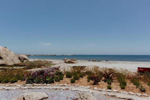 a beach with flowers and rocks and the ocean at Twalap in Paternoster