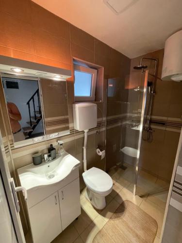 een badkamer met een toilet, een wastafel en een douche bij Vikendica Fruska Gora in Krušedol