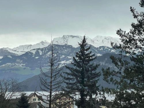 two trees in front of a mountain with snow covered mountains at Beautiful flat with nice lake and mountain views in Weggis