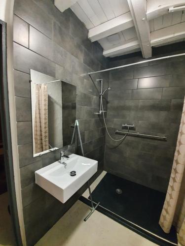 une salle de bain avec un lavabo et un miroir dans l'établissement La Cour d'Enchère, à Saint-Palais