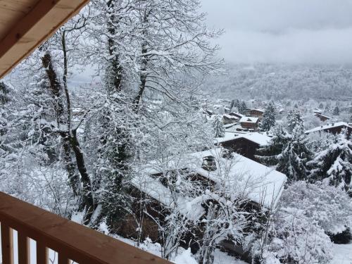 a view from the balcony of a house covered in snow at Chalet Lilalpes SPA in Samoëns