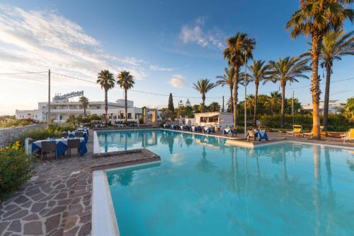 a large swimming pool with palm trees in the background at Picchio Hotel Pescoluse in Marina di Pescoluse