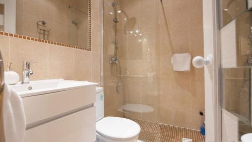 Un baño con ducha, inodoro y lavabo. en Los Balcones de Maritxu, en Toledo