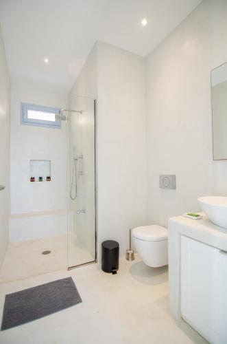 a bathroom with a shower and a toilet and a sink at Theros apartments 1 in Mylopotas