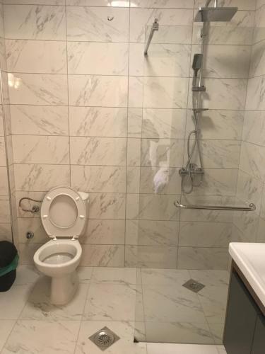 a white bathroom with a toilet and a shower at Apartmani Anja Ohrid in Ohrid