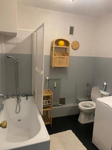 ein Bad mit einer Badewanne und einem WC in der Unterkunft Studio meuble hyper centre proche gare in Charleville-Mézières