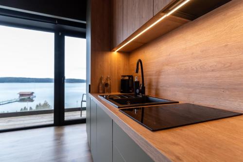 a kitchen with a counter with a sink and a window at OTTON-Charzykowy Bed&Restaurant in Chojnice