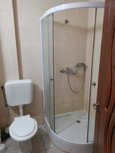a bathroom with a shower with a toilet and a sink at Vila Alphecca in Costinesti