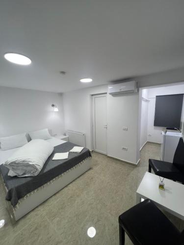a bedroom with a bed and a flat screen tv at Hostel Casa Popa Nan in Bucharest