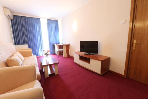 a living room with a couch and a flat screen tv at Hotel Doina in Neptun