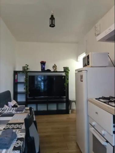 uma cozinha com uma televisão grande e um frigorífico em F2 au cœur de Paris em Paris