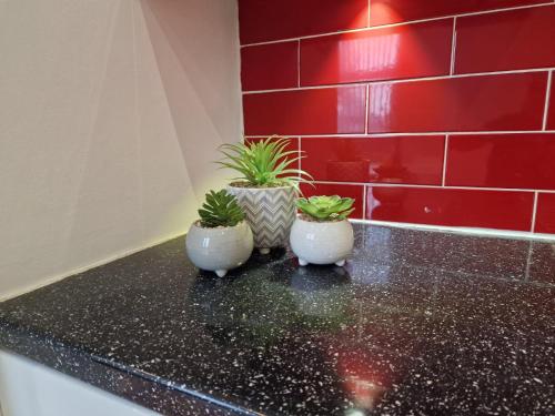 three plants in white vases sitting on a counter at Newly Furnished Close to City Centre in Hunslet