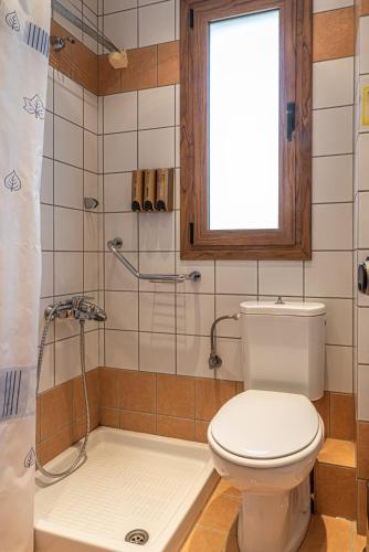 a bathroom with a toilet and a shower at Xenonas Kypseli in Kipseli