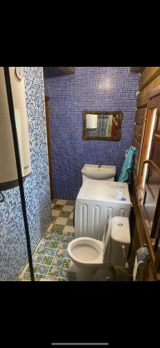 a bathroom with a white toilet and a blue wall at Drulenu sodyba in Drūlėnai
