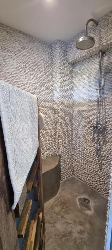 uma casa de banho com chuveiro e cortina de chuveiro em Le Clos Des Cambres em Les Arcs sur Argens