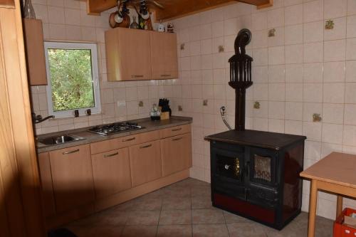 a small kitchen with a stove in the corner at Podklanci-house in the forest in Knežak