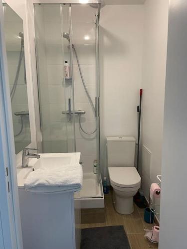 La salle de bains est pourvue d'une douche et de toilettes. dans l'établissement Caen le port : superbe appartement refait à neuf, à Caen