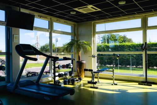 a gym with cardio equipment and a large window at Best Western Plus Hôtel Le Rhénan & Restaurant Chez Claude in Dorlisheim