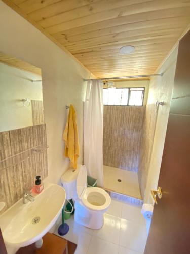 La salle de bains est pourvue de toilettes, d'un lavabo et d'une douche. dans l'établissement Suanoga - Finca Turística, à Pesca