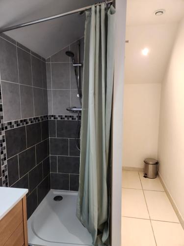 a shower with a shower curtain in a bathroom at Appartement calme Le clos de Renée in Hautvillers