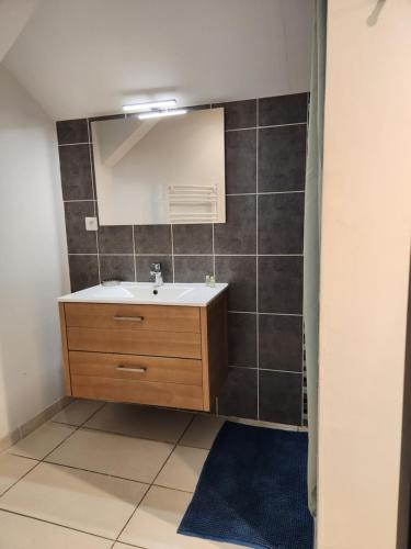 ein Bad mit einem Waschbecken und einem Spiegel in der Unterkunft Appartement calme Le clos de Renée in Hautvillers