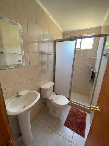 La salle de bains est pourvue de toilettes, d'un lavabo et d'une douche. dans l'établissement Cabaña III en ambiente familiar, à Los Vilos